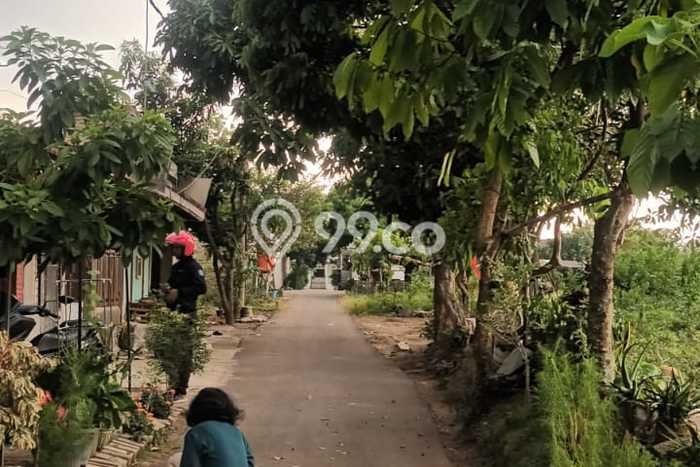 Tanah Kavling untuk Dijual di Ciruas Serang 77m2 Tanah Kavling untuk Dijual di Ciruas Serang 77m2