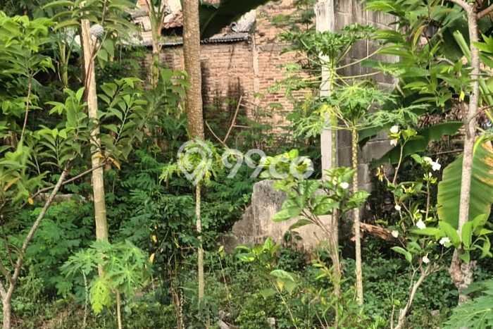 Tanah Kavling untuk Dijual di Ciruas Serang 77m2 Tanah Kavling untuk Dijual di Ciruas Serang 77m2