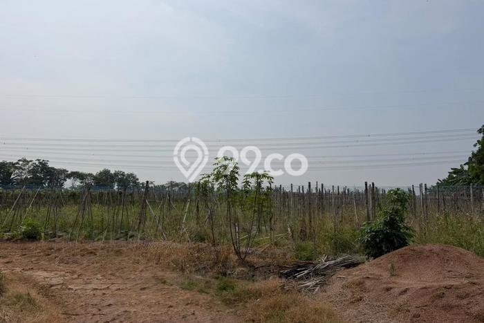 Tanah di Cilegon, Cilegon Luas 16000m2 Dijual Segera Tanah di Cilegon, Cilegon Luas 16000m2 Dijual Segera