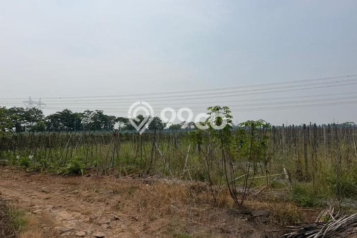 Tanah di Cilegon, Cilegon Luas 16000m2 Dijual Segera Tanah di Cilegon, Cilegon Luas 16000m2 Dijual Segera