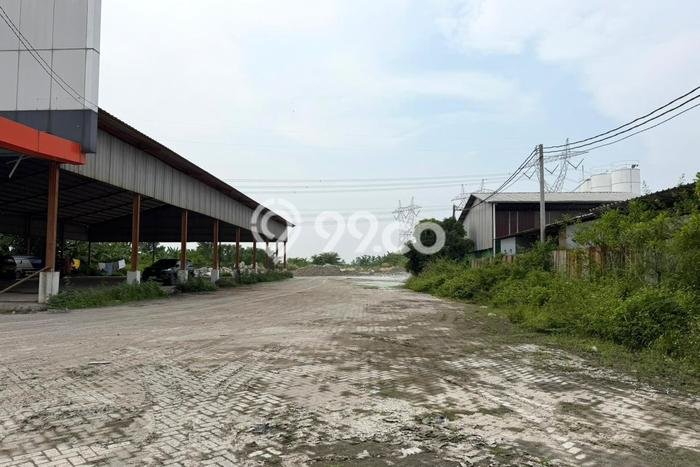 Untuk Dijual Tanah di Cilegon Cilegon Luas 10000m2 SHM Untuk Dijual Tanah di Cilegon Cilegon Luas 10000m2 SHM