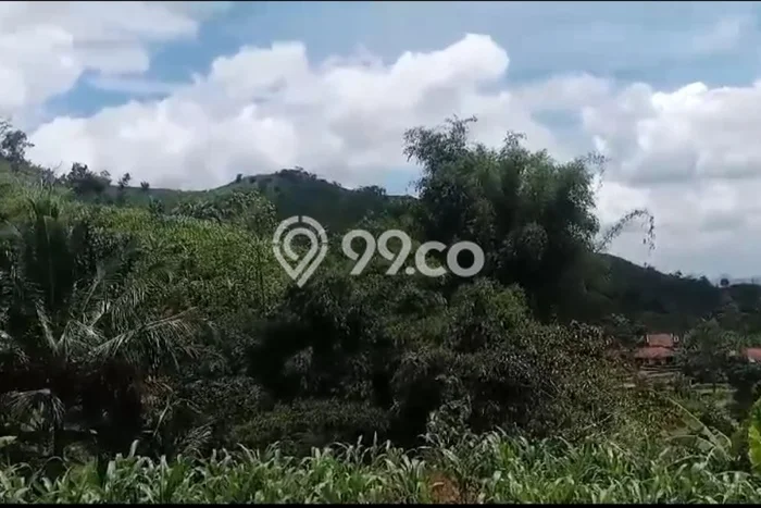 Lahan untuk Dijual Lokasi Kalijati, Subang Luas 2.16e+06m2 SHM Lahan untuk Dijual Lokasi Kalijati, Subang Luas 2.16e+06m2 SHM