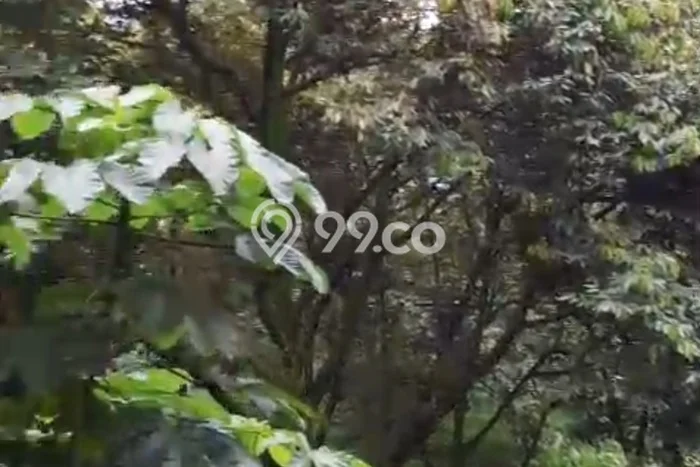 Tanah Dijual Lokasi Cigudeg, Bogor Luas 500000m2 Legalitas Aman Tanah Dijual Lokasi Cigudeg, Bogor Luas 500000m2 Legalitas Aman