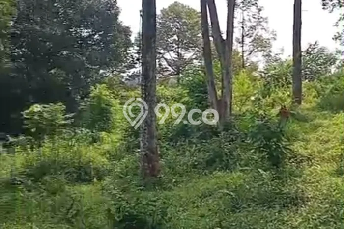 Tanah Dijual Lokasi Cigudeg, Bogor Luas 500000m2 Legalitas Aman Tanah Dijual Lokasi Cigudeg, Bogor Luas 500000m2 Legalitas Aman