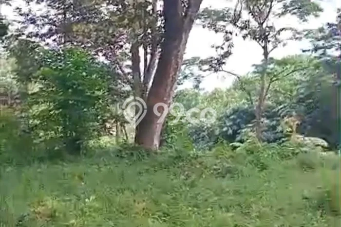 Tanah Dijual Lokasi Cigudeg, Bogor Luas 500000m2 Legalitas Aman Tanah Dijual Lokasi Cigudeg, Bogor Luas 500000m2 Legalitas Aman