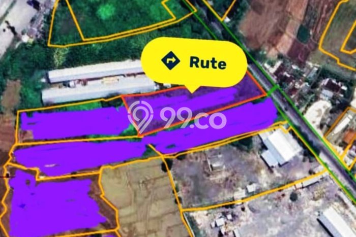 Tanah untuk Dijual Lokasi Widang, Tuban Luas 43000m2 SHM Tanah untuk Dijual Lokasi Widang, Tuban Luas 43000m2 SHM