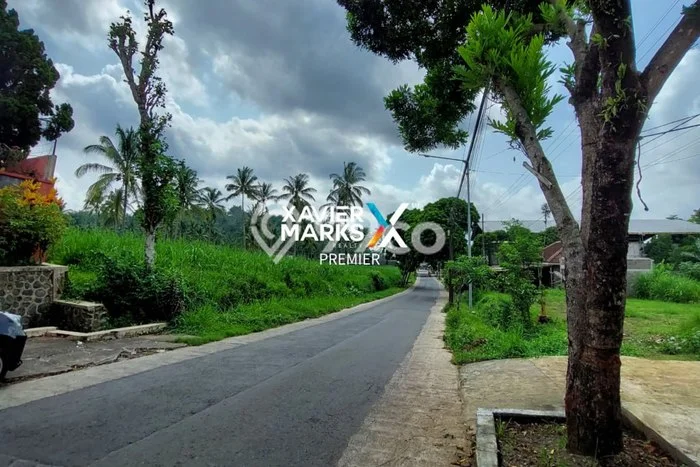Tanah Dijual Lokasi Dampit, Malang Luas 58000m2 Legalitas Aman Tanah Dijual Lokasi Dampit, Malang Luas 58000m2 Legalitas Aman