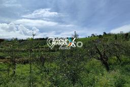 Tanah Kavling di Bumiaji Dijual dengan Luas 2500m2 Tanah Kavling di Bumiaji Dijual dengan Luas 2500m2