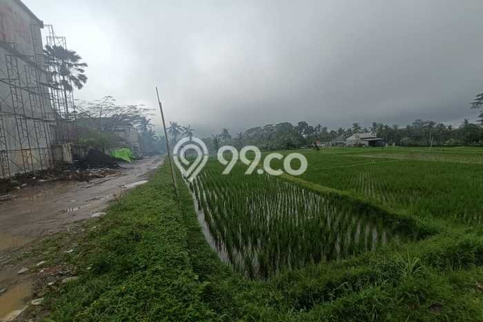Tanah untuk Dijual di Payangan Gianyar Luas 66118m2 Tanah untuk Dijual di Payangan Gianyar Luas 66118m2