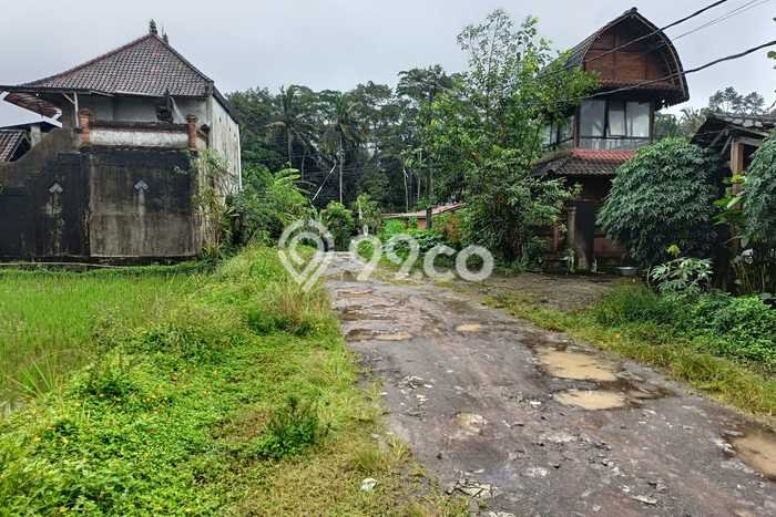 Tanah untuk Dijual di Payangan Gianyar Luas 66118m2 Tanah untuk Dijual di Payangan Gianyar Luas 66118m2