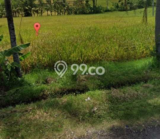 Untuk Dijual Tanah di Tabanan, Luas 3000m2 SHM Untuk Dijual Tanah di Tabanan, Luas 3000m2 SHM