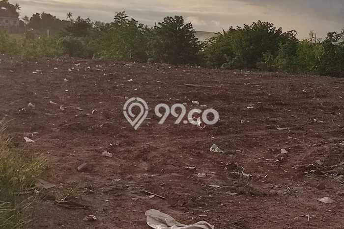 Tanah Kavling Disewakan di Canggu dengan Luas 5500m2 Tanah Kavling Disewakan di Canggu dengan Luas 5500m2