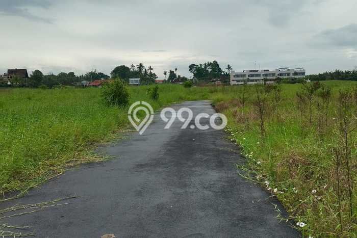 Untuk Dijual Tanah di Tabanan, Luas 640m2 SHM Untuk Dijual Tanah di Tabanan, Luas 640m2 SHM