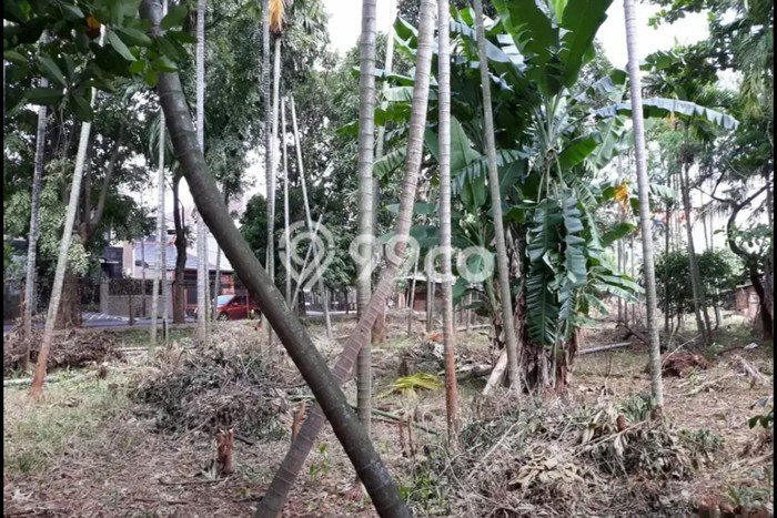 Tanah untuk Dijual Lokasi Duren Sawit, Jakarta Timur Luas 1490m2 SHM Tanah untuk Dijual Lokasi Duren Sawit, Jakarta Timur Luas 1490m2 SHM