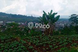 Tanah Kavling untuk Dijual di Pasirjambu Bandung 2260m2 Tanah Kavling untuk Dijual di Pasirjambu Bandung 2260m2