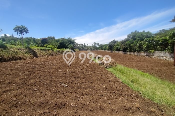 Tanah untuk Dijual di Ngamprah Bandung Barat Luas 4270m2 Tanah untuk Dijual di Ngamprah Bandung Barat Luas 4270m2