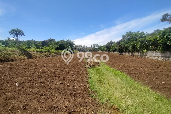 Tanah untuk Dijual di Ngamprah Bandung Barat Luas 4270m2 Tanah untuk Dijual di Ngamprah Bandung Barat Luas 4270m2
