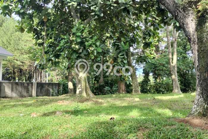 Tanah Dijual di Bogor Seluas 1665m2 Strategis Tanah Dijual di Bogor Seluas 1665m2 Strategis