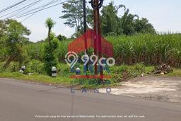 Tanah Komersial Dijual di Pakis Malang 3000m2 Tanah Komersial Dijual di Pakis Malang 3000m2
