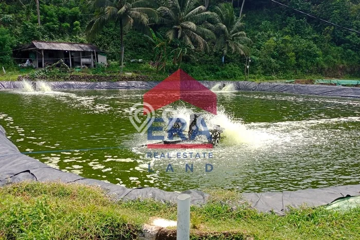 Tanah di Pacitan, Pacitan Luas 13000m2 Dijual Segera Tanah di Pacitan, Pacitan Luas 13000m2 Dijual Segera