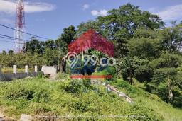 Tanah Dijual Lokasi Lowokwaru, Malang Luas 2700m2 Legalitas Aman Tanah Dijual Lokasi Lowokwaru, Malang Luas 2700m2 Legalitas Aman