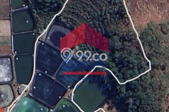 Tanah di Pacitan, Pacitan Luas 13000m2 Dijual Segera Tanah di Pacitan, Pacitan Luas 13000m2 Dijual Segera