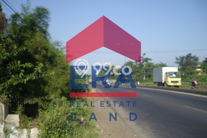 Tanah di Purwodadi, Pasuruan Luas 4410m2 Dijual Segera Tanah di Purwodadi, Pasuruan Luas 4410m2 Dijual Segera