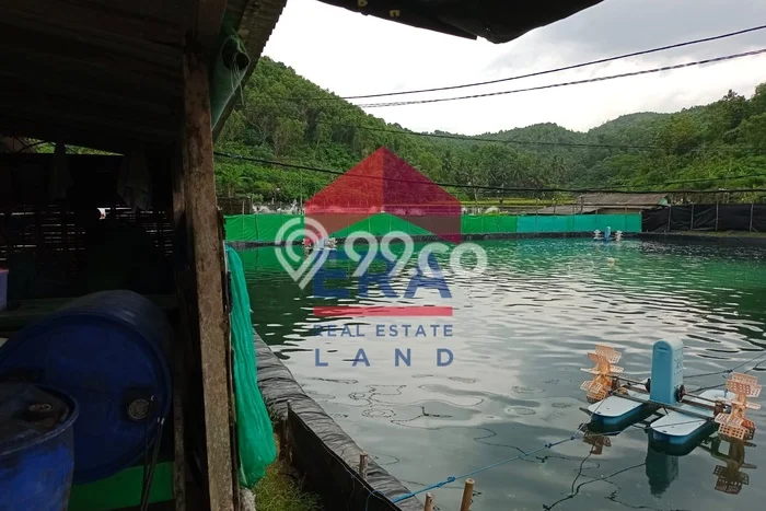 Tanah di Pacitan, Pacitan Luas 13000m2 Dijual Segera Tanah di Pacitan, Pacitan Luas 13000m2 Dijual Segera