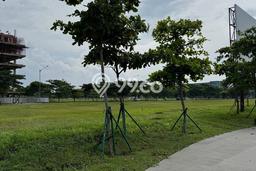 Tanah Disewakan Lokasi Jakarta Utara Seluas 2200m2 Strategis dan Aman Tanah Disewakan Lokasi Jakarta Utara Seluas 2200m2 Strategis dan Aman