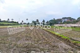 Tanah Dijual Lokasi Kedungkandang, Malang dengan Luas Tanah 5773m2 dan Status SHM Tanah Dijual Lokasi Kedungkandang, Malang dengan Luas Tanah 5773m2 dan Status SHM