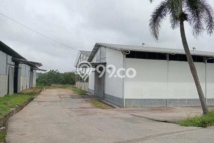 Area Ramai! Gudang Dijual di Cikande untuk Bisnis Luas Bangunan 15000m2 Area Ramai! Gudang Dijual di Cikande untuk Bisnis Luas Bangunan 15000m2