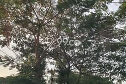 Rumah Strategis Modern Lb 41m2 di Balaraja, Tangerang Rumah Strategis Modern Lb 41m2 di Balaraja, Tangerang