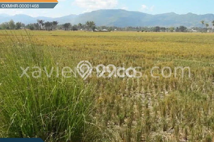 Tanah Kavling untuk Dijual di Bone Bone Bolango 10000m2 Tanah Kavling untuk Dijual di Bone Bone Bolango 10000m2