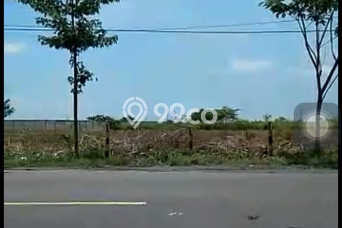 Kavling Tanah Dijual di Widang Tuban Spesifikasi 43000m2 Kavling Tanah Dijual di Widang Tuban Spesifikasi 43000m2