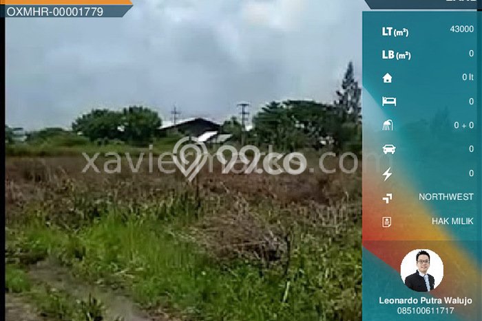 Kavling Tanah Dijual di Widang Tuban Spesifikasi 43000m2 Kavling Tanah Dijual di Widang Tuban Spesifikasi 43000m2