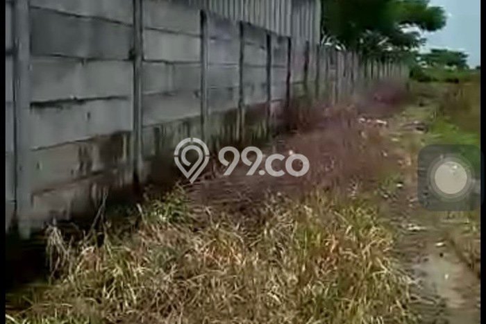 Kavling Tanah Dijual di Widang Tuban Spesifikasi 43000m2 Kavling Tanah Dijual di Widang Tuban Spesifikasi 43000m2