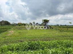Tanah Kavling untuk Dijual di Mengwi Badung 100m2 Tanah Kavling untuk Dijual di Mengwi Badung 100m2