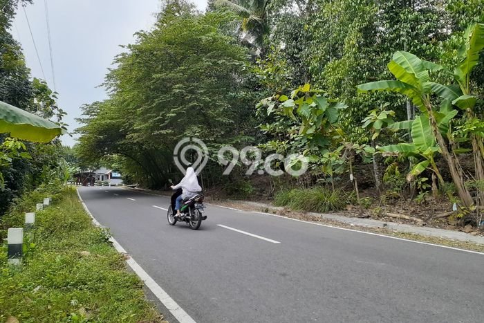 Kavling Tanah Dijual di Berbah, Sleman, Luas 79m2 Area Strategis Kavling Tanah Dijual di Berbah, Sleman, Luas 79m2 Area Strategis
