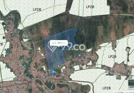 Dijual Tanah di Pamanukan Subang Luas 300000m2 SHM Dijual Tanah di Pamanukan Subang Luas 300000m2 SHM