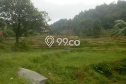 Dijual Tanah Lokasi Sentul City, Bogor Seluas 10000m2 Dijual Tanah Lokasi Sentul City, Bogor Seluas 10000m2
