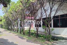 Gudang Dijual di Cikande LT 14196m2, LB 14196m2 Solusi Investasi Cerdas Gudang Dijual di Cikande LT 14196m2, LB 14196m2 Solusi Investasi Cerdas
