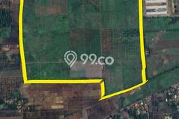 Tanah di Pamanukan, Subang Luas 585117m2 Dijual Segera Tanah di Pamanukan, Subang Luas 585117m2 Dijual Segera