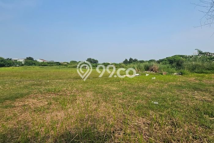 Tanah Kavling di Cisauk Dijual dengan Luas 5000m2 Tanah Kavling di Cisauk Dijual dengan Luas 5000m2