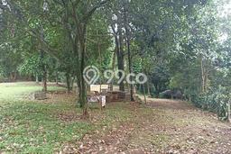 Lahan Investasi Lokasi Sawangan Depok SHM Lahan Investasi Lokasi Sawangan Depok SHM