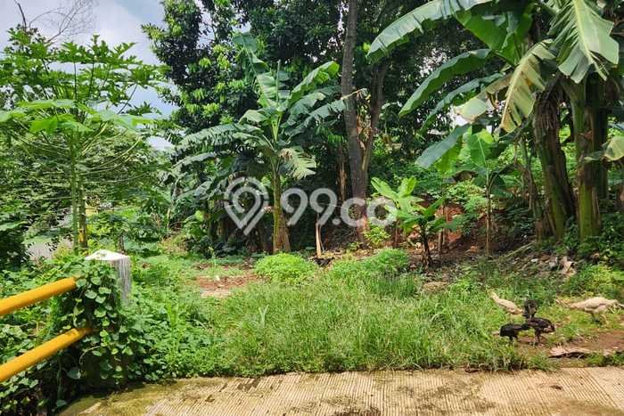 Tanah Kavling Dijual di Depok dengan Spesifikasi 5438m2 Tanah Kavling Dijual di Depok dengan Spesifikasi 5438m2
