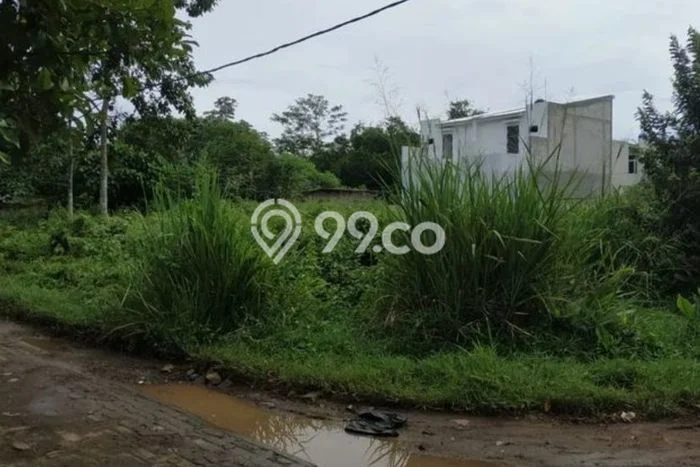 Kavling Tanah Dijual di Cisauk Tangerang Spesifikasi 1000m2 Kavling Tanah Dijual di Cisauk Tangerang Spesifikasi 1000m2