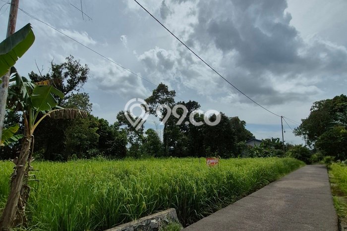 Tanah Kavling untuk Dijual di Sungai Raya Kubu Raya 624m2 Tanah Kavling untuk Dijual di Sungai Raya Kubu Raya 624m2