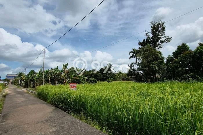 Tanah Kavling untuk Dijual di Sungai Raya Kubu Raya 624m2 Tanah Kavling untuk Dijual di Sungai Raya Kubu Raya 624m2