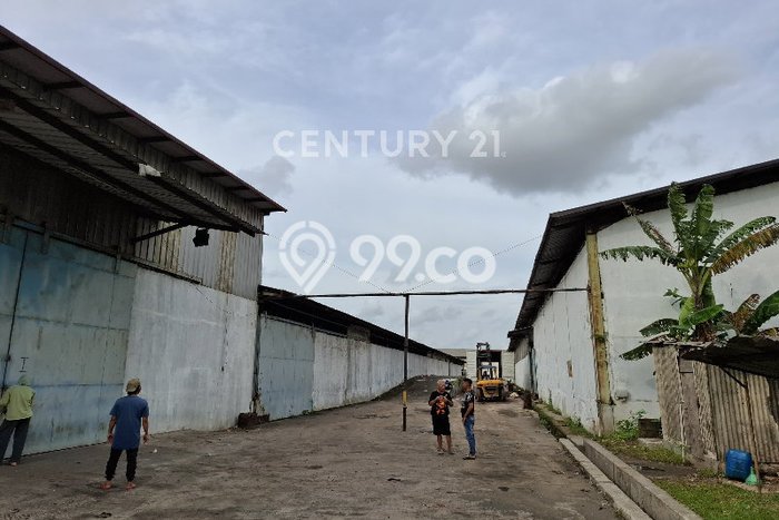 Gudang Disewakan Cepat di Karawang Timur Karawang LB 11600m2 Gudang Disewakan Cepat di Karawang Timur Karawang LB 11600m2
