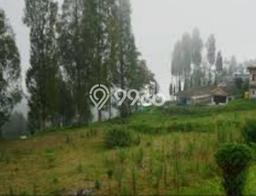 Tanah Dijual Lokasi Tosari, Pasuruan dengan Luas Tanah 1106m2 dan Status SHM Tanah Dijual Lokasi Tosari, Pasuruan dengan Luas Tanah 1106m2 dan Status SHM